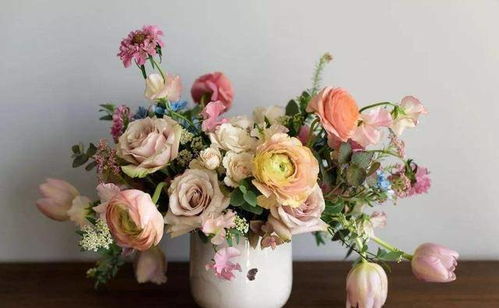 年关将至，这几种花卉作为年宵花超合适，盆栽插花皆宜